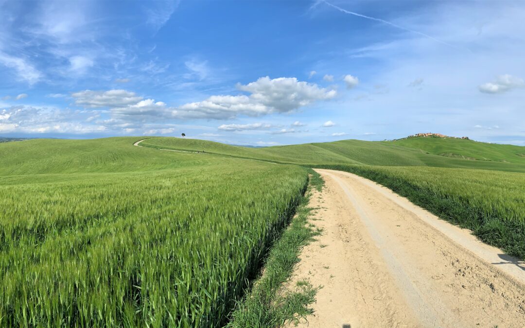 CRETE SENESI E-BIKE & SPA