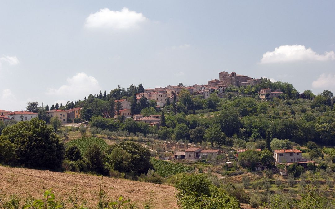 Chianti tour: Panzano, Radda and Castellina