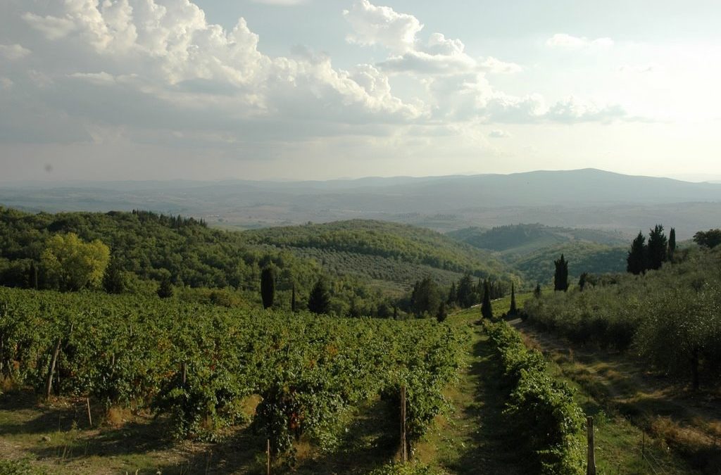 TREKKING AMONG THE CHIANTI CLASSICO VINEYARDS